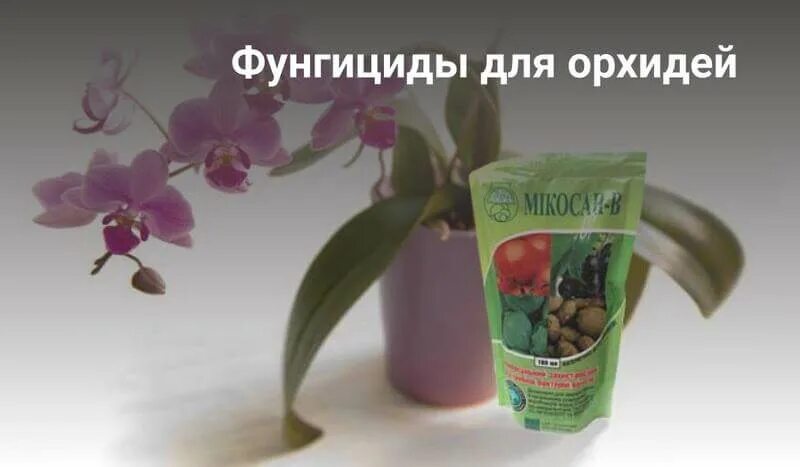Орхидея препарат