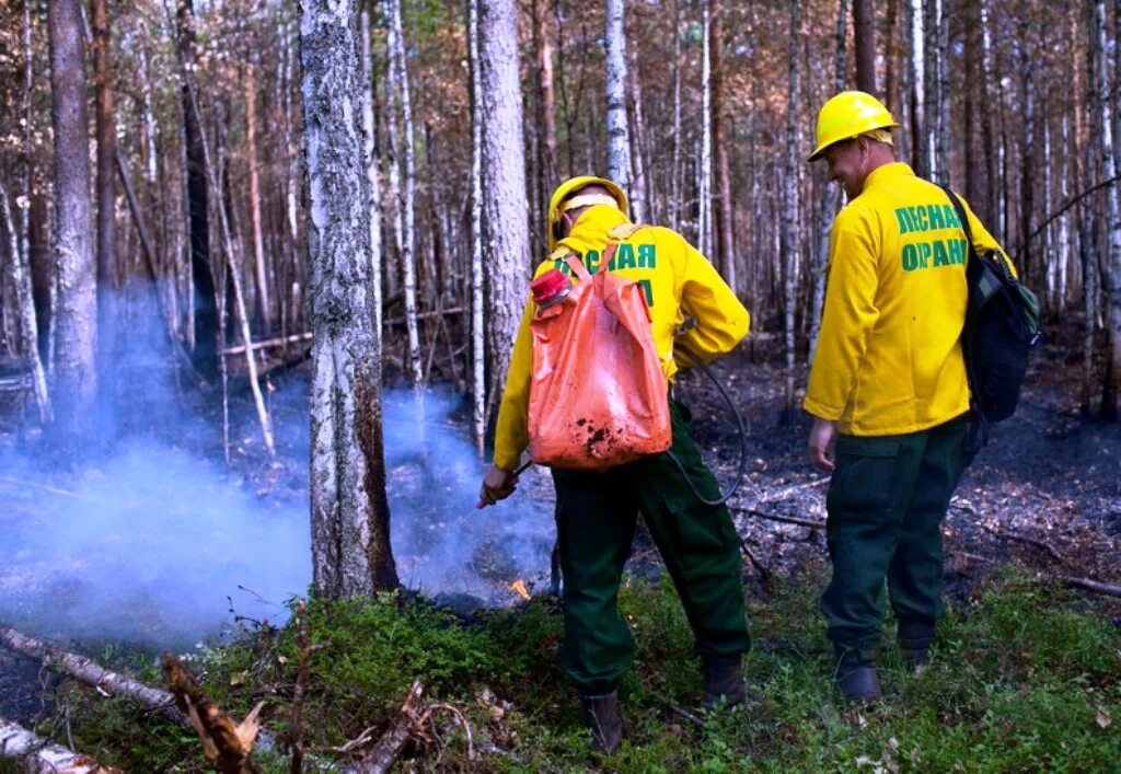 наземная охрана лесов от пожаров. охрана лесных пожаров. авиалесоохрана мчс. охрана лесных пожаров. охрана лесов от пожаров.