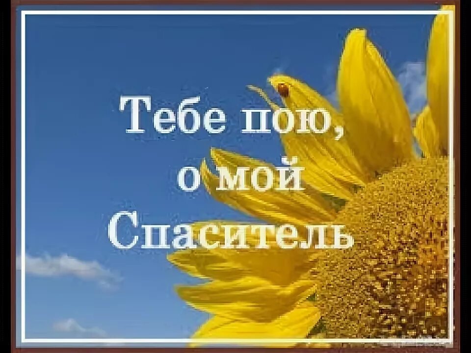 Пою тебе моя земля. О тебе пою, Спаситель. Сборник тебе о пою Спаситель. О тебе пою Спаситель сборник нотный. Тебе пою о мой Спаситель сборник Ноты.