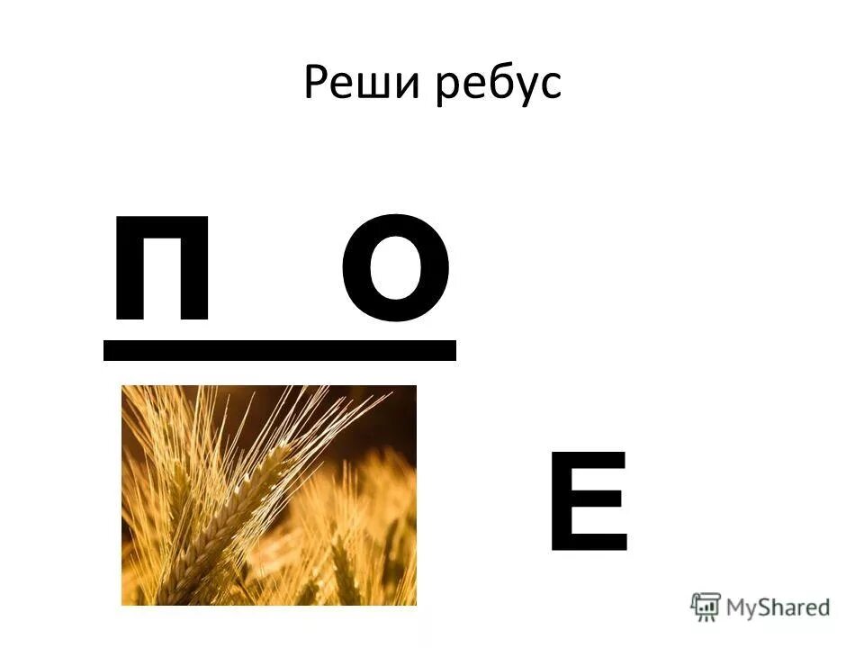 Ребус л е. Реши ребус. Ребусы с ё.