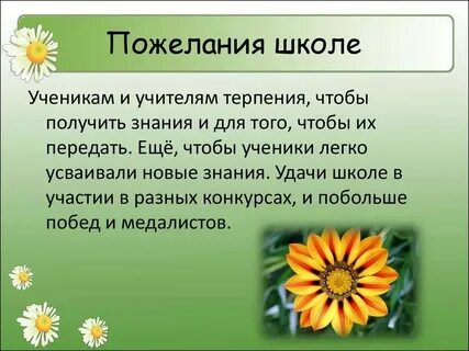 Добрые пожелания школе