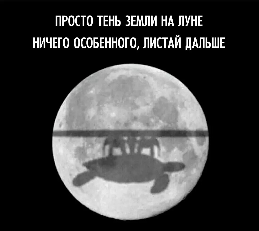 Лицо его не представляло ничего особенного