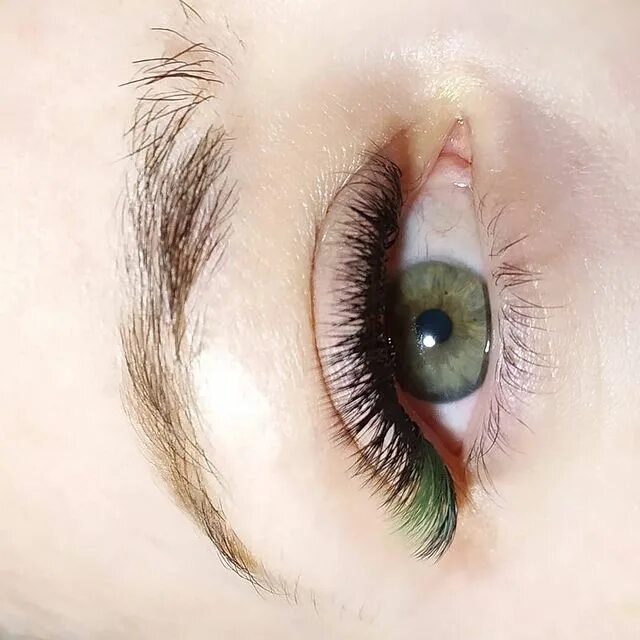 наращивание ресниц алтуфьево. наращивание ресниц алтуфьево. наращивание ресниц алтуфьево. нарушение ресницы победа 27. модное наращивание ресниц 2021.