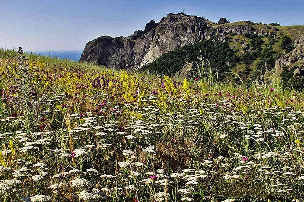 Летнее время в крыму