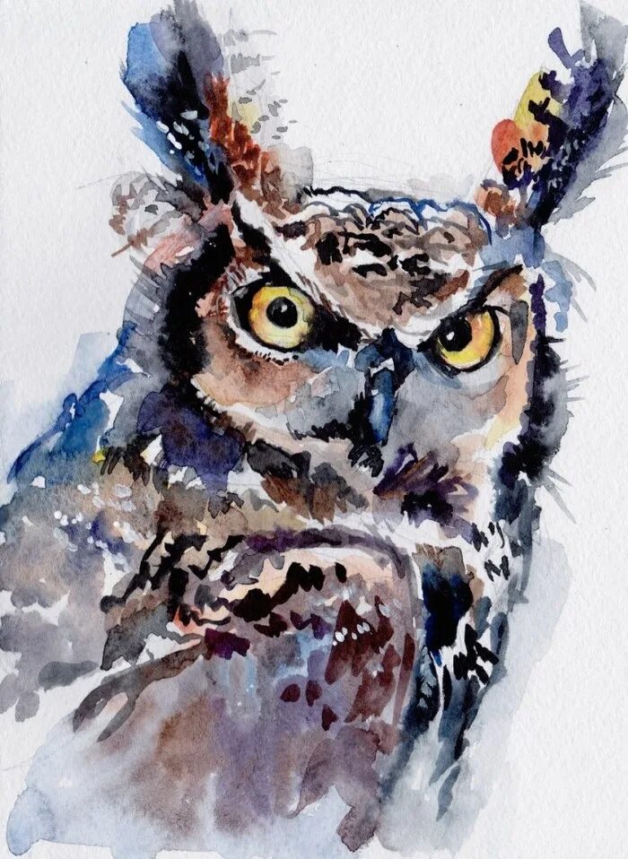 Филин акварель. Забавные животные акварелью. Сова акварель. Сова акварель. Сова акварелью.