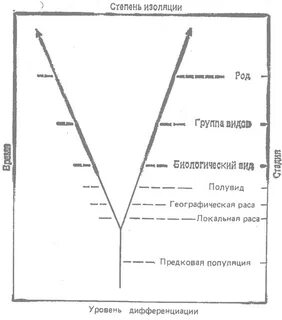 Степень изоляции