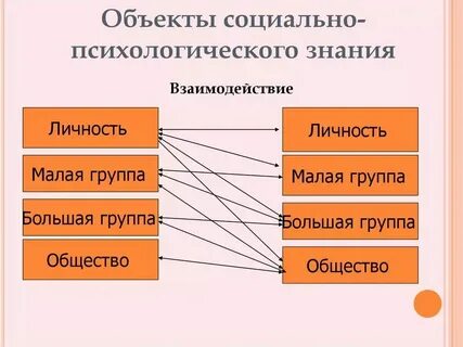 Социальные группы сша