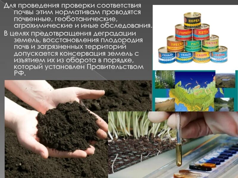 Почва ее плодородие удобрения обработка почвы гидропоника. Агрохимические исследования почвы. почвенное обследование. агрохимическое обследование земель. плодородная почва.