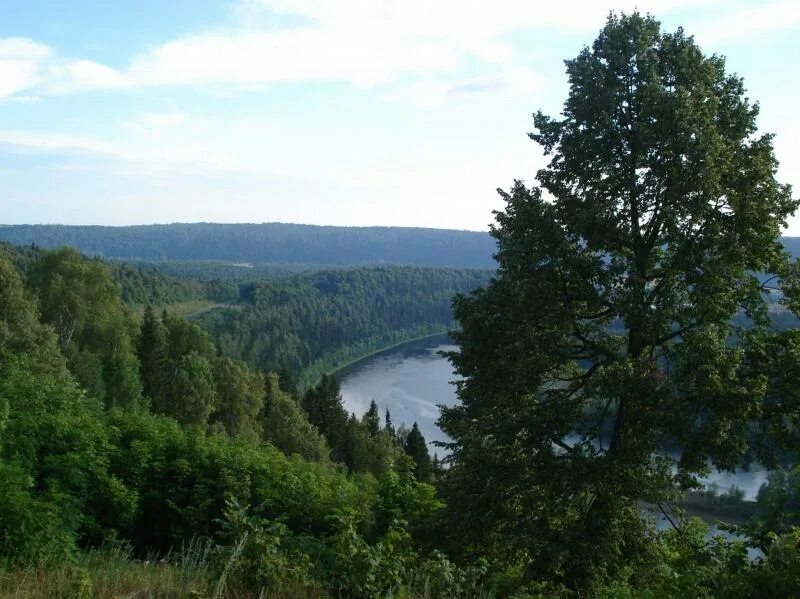 На Лысой горе никакого шабаша не обнаружено ТРИ шурупа
