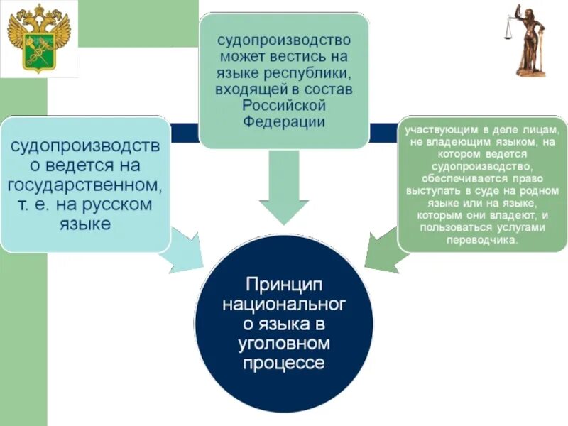 Национальные принципы судопроизводства. Язык уголовного судопроизводства. Принцип языка уголовного судопроизводства в уголовном процессе. Принцип языка судопроизводства. Язык судопроизводства как принцип.