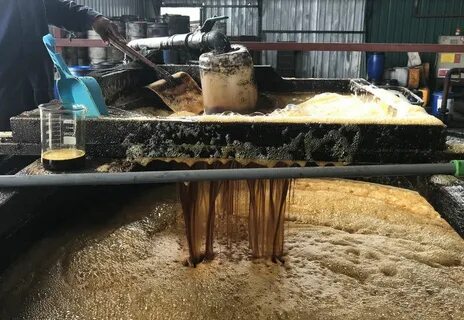 Самый опасный пищевой отход растительное масло