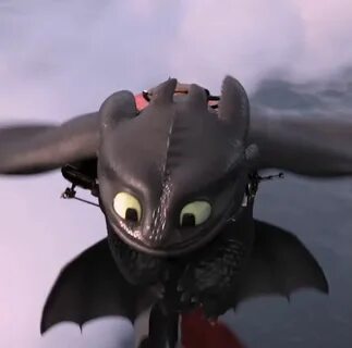 Dragons Den, Httyd Dragons, Httyd 3, Cute Toothless, Toothless Night.