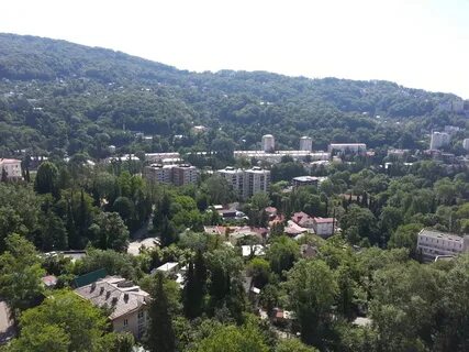 Погода в хосте на месяц