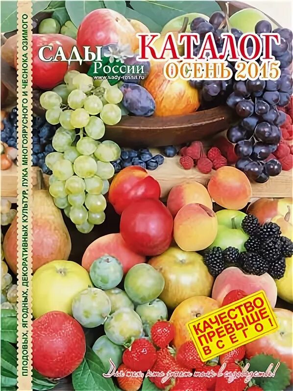 НПО сад и огород Челябинск. Сады России журнал каталог 2023 семена. Семена сады России Челябинск. Семена сады России каталог. Сайт сады россии челябинск каталог