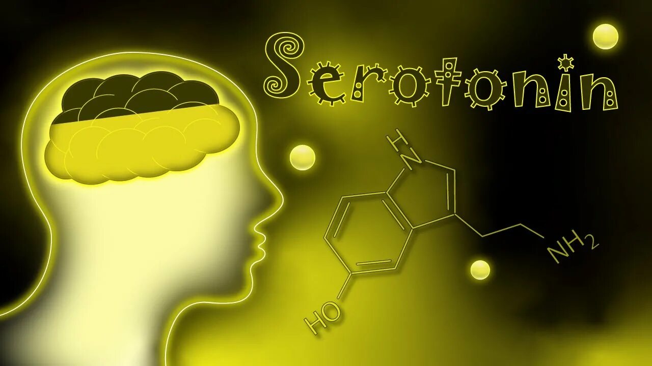 Серотонин картинки. Серотонин 2023. Дофамин гормон. Серотонин вышивка. Серотонин решетка.
