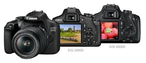 Фотоаппарат canon eos 2000d