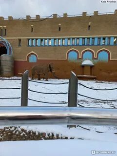 Работает ли московский зоопарк зимой