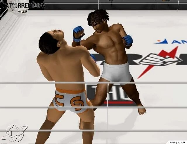 Pride игра. Pride fc ps2. pride fc: fighting championships. game pride fc. игра прайд бои.