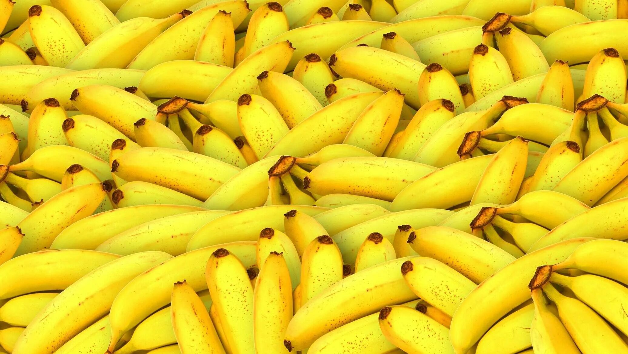 Can i have a banana. Can i have a banana