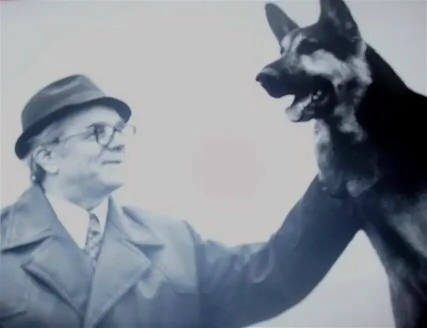 накануне витю предупредили. накануне витю предупредили. аустерлицкое сражение война и мир ростов и болконский. преступление как проверить написание. словарно-орфографическая подготовка.