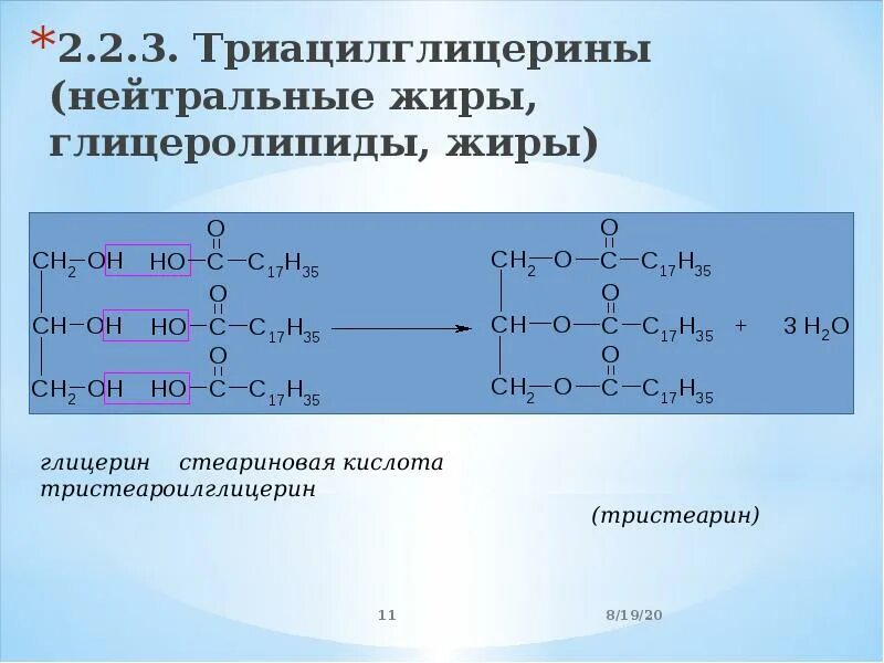 Гидрирование триглицерида