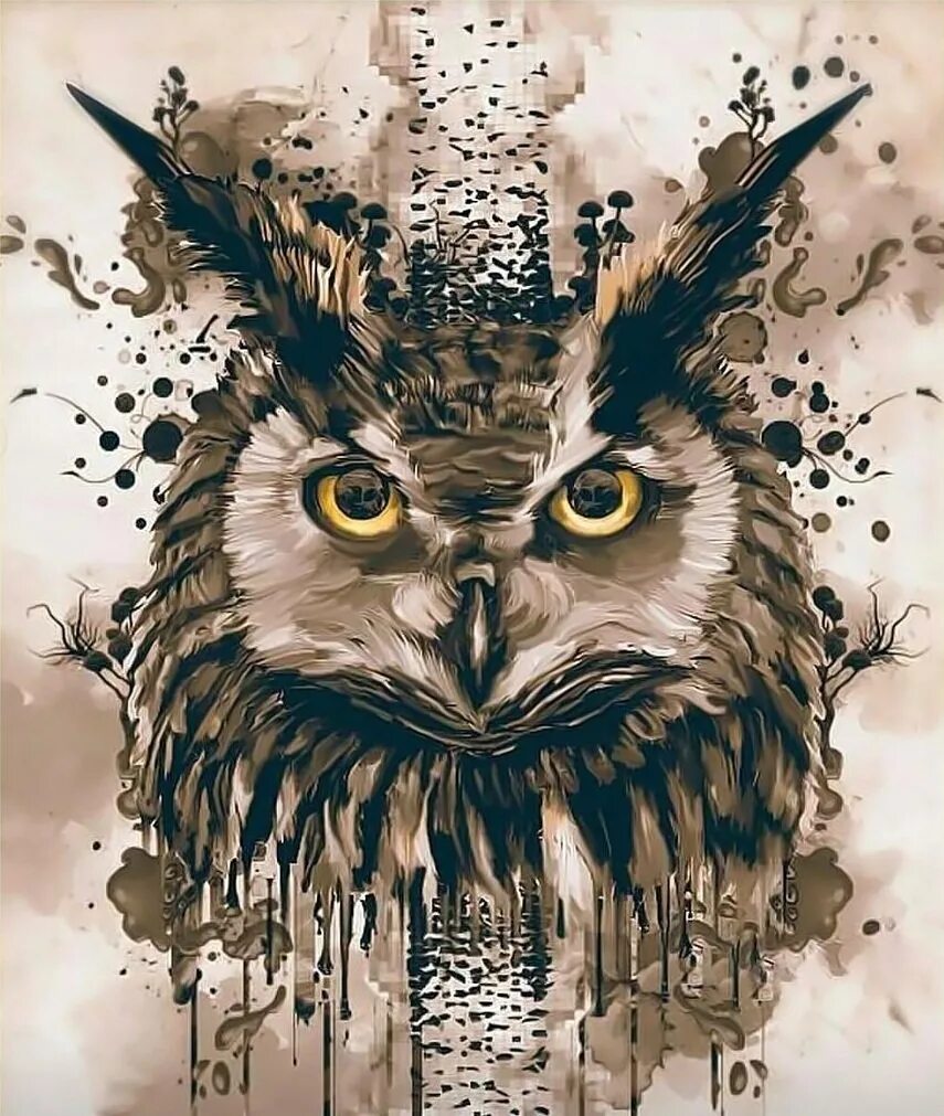 Sova сова. Татуировка филлин сова. сова арт. сова тату эскиз. сова арты.