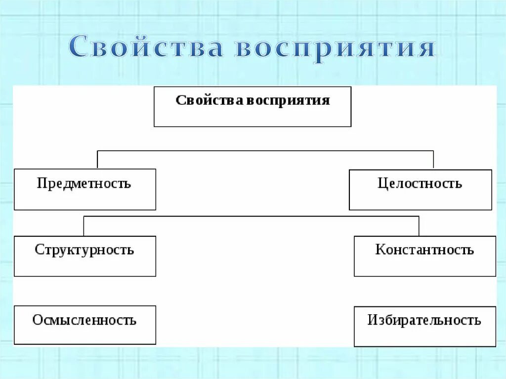 Осмысленность избирательность константность