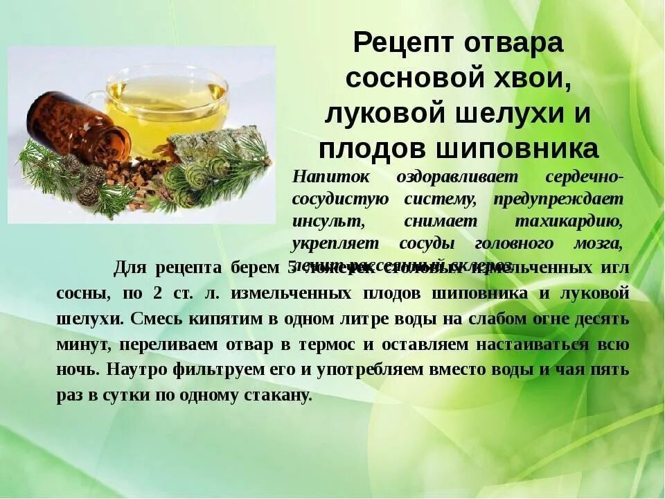Как пить настой. Настой хвои сосны. настой из сосновой смолы. отвар из сосновой хвои. хвойный отвар для питья.