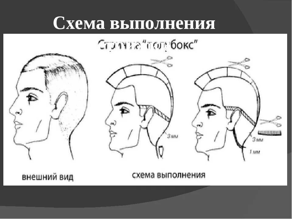 Схема выполнения. Стрижка полубокс бокс схема стрижки. схема мужской стрижки полубокс. стрижка полубокс мужская схема выполнения. технология стрижки бокс и полубокс машинкой.