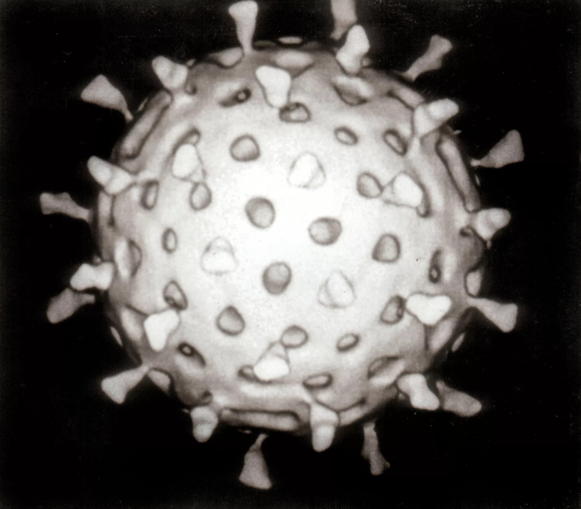Вирус ротавирусной инфекции. Ротавирусная инфекция вирус. Вирус ротовируса. Вирус ротавируса под микроскопом. P virus