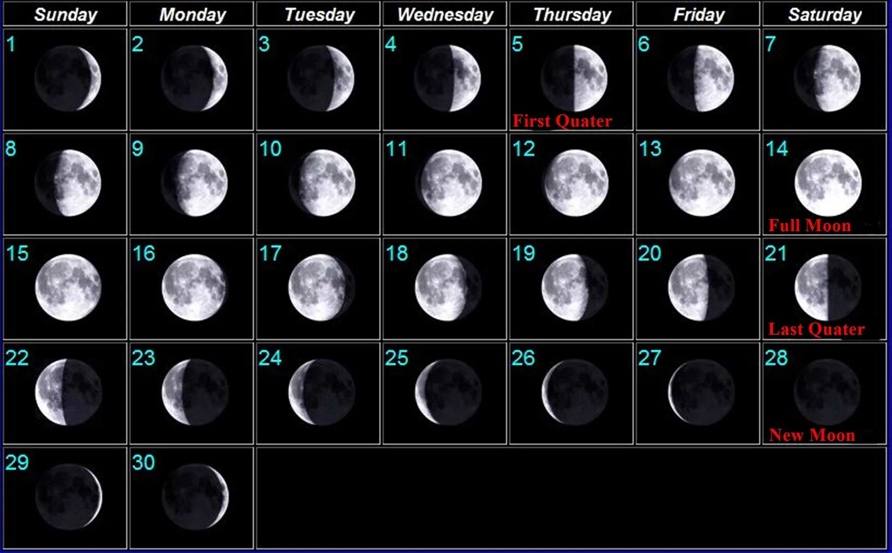 Фаза луны март 2024 по дням лунный. Календарь с фазами Луны 2022. Календарь фазы Луны на 2022 год. 16 Лунный день фаза Луны. Moon Calendar 2022 Lunar Calendar 2022.