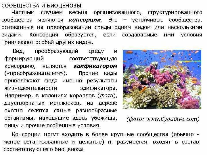 Мозаичное строение сообщества обусловлено. Мозаичное строение сообщества обусловлено