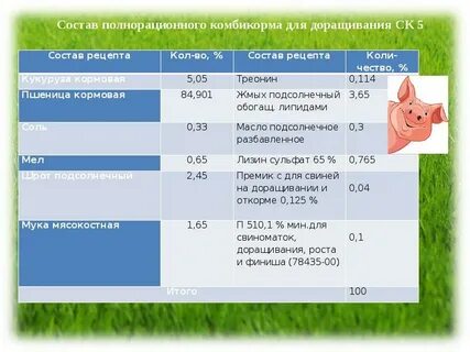 Первое место в мире по поголовью свиней