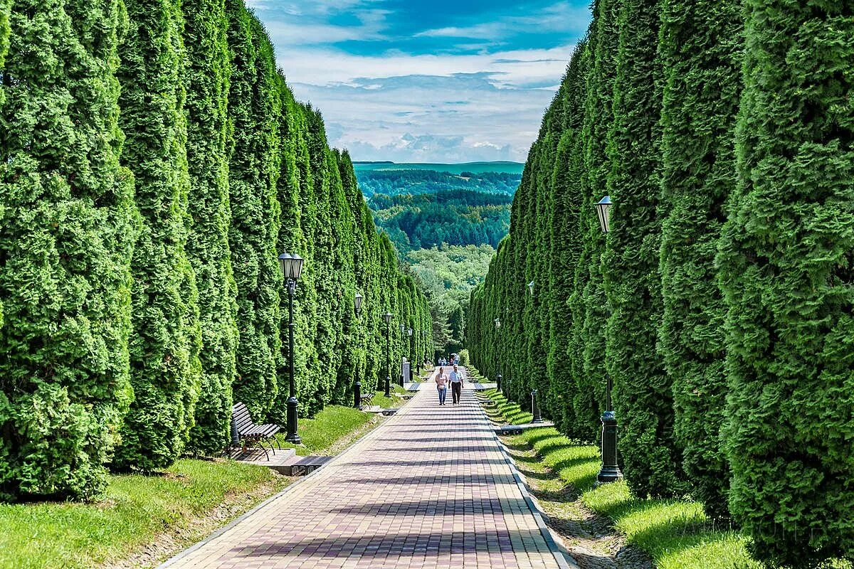 кисловодский курортный парк долина роз. курортный парк кисловодск. кисловодск парк курортный. кисловодск – курортный парк. кисловодск парк курортный.