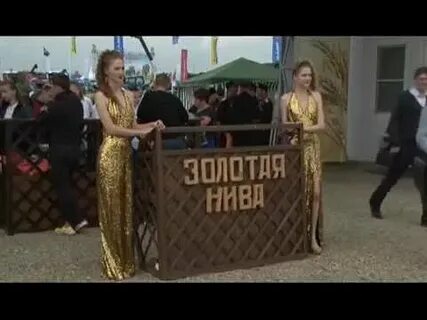 Золотая нива гуково