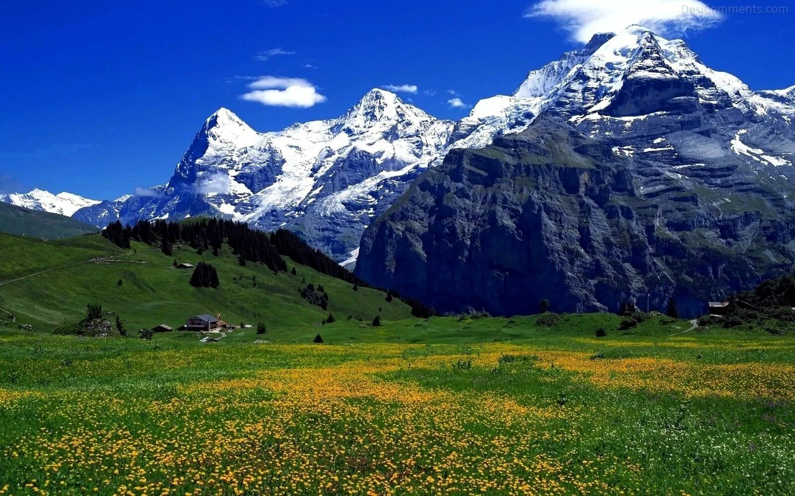 Очень красивые горы. Национальный парк маунт робсон. В горах. Гора по фене. Золотые горы лилиан.