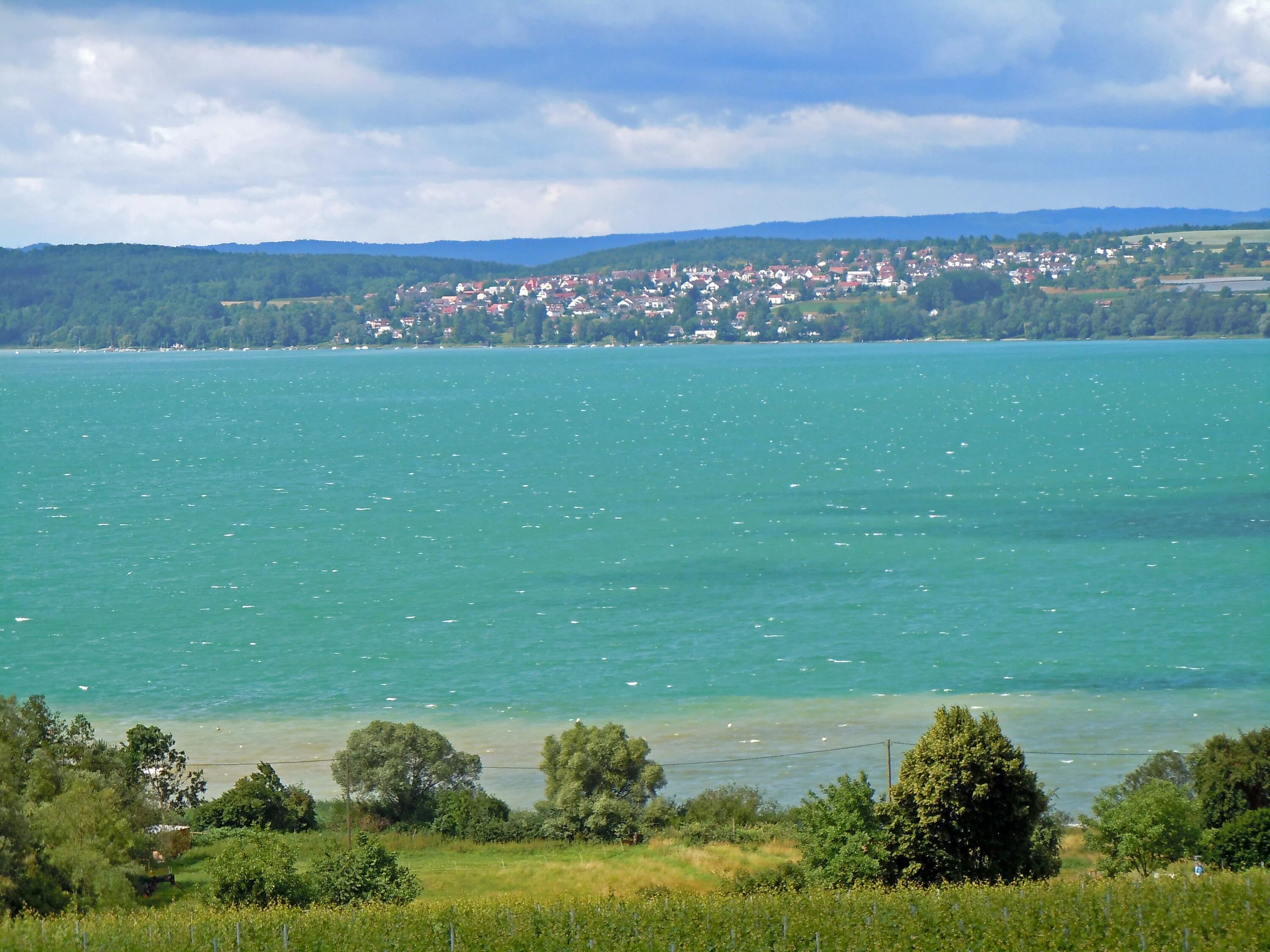 Professorship by the lake Research careers Services Academic Staff Development U