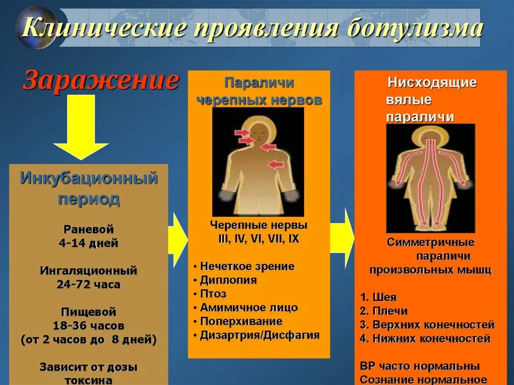 Симптомы ботулизма у человека. Клинические проявления ботулизма. Клинические симптомы ботулизма. Клинические проявления при ботулизме. Ботулизм инкубационный период.