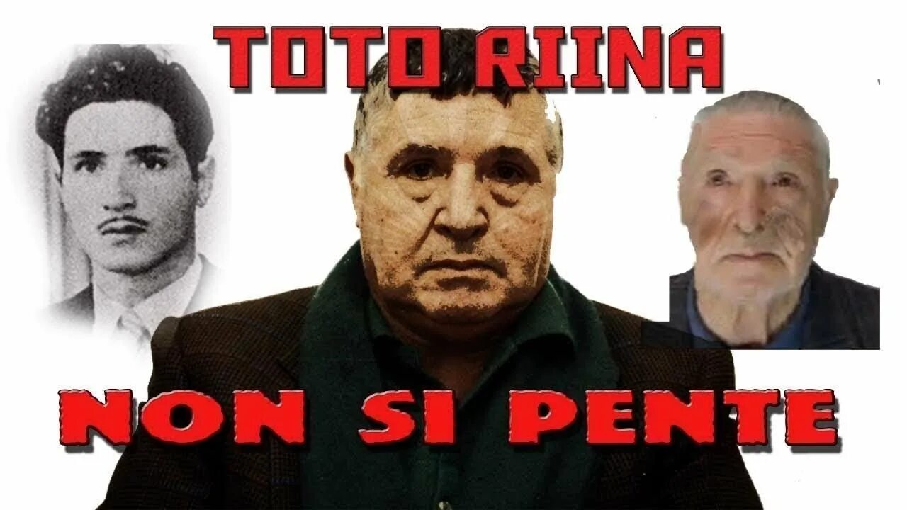 Песня баномай тото. Гарден оф бан бан банбалина. Песня баномай тото. Песня баномай тото. Песня баномай тото.