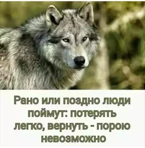 Потерять человека цитаты. Почёт рабочим профессиям. Порою возвращает. Рано или поздно понимаешь. Презентация "память человеческа вечна".