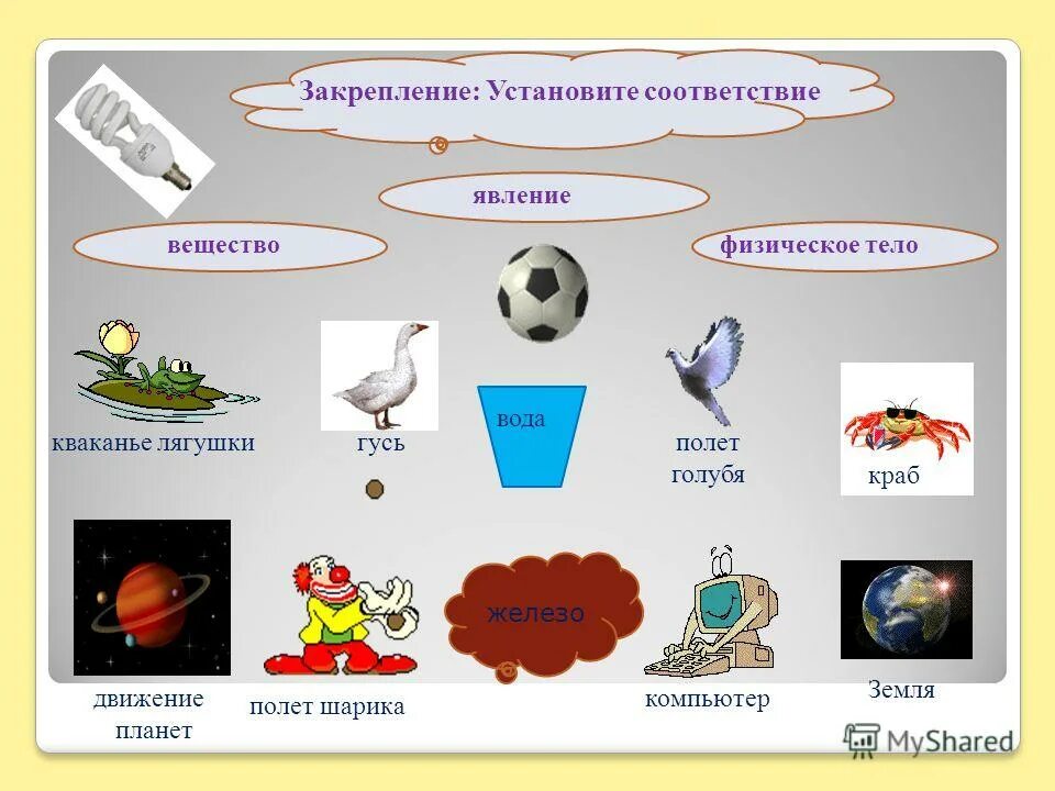 Установите соответствие природа вещества