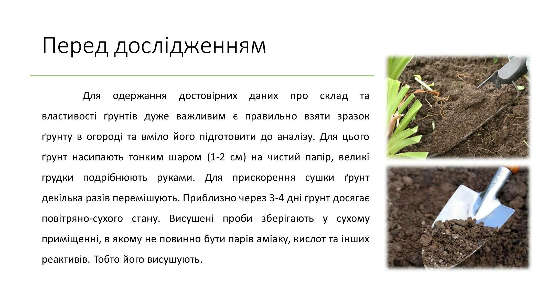 Как сделать почву щелочной
