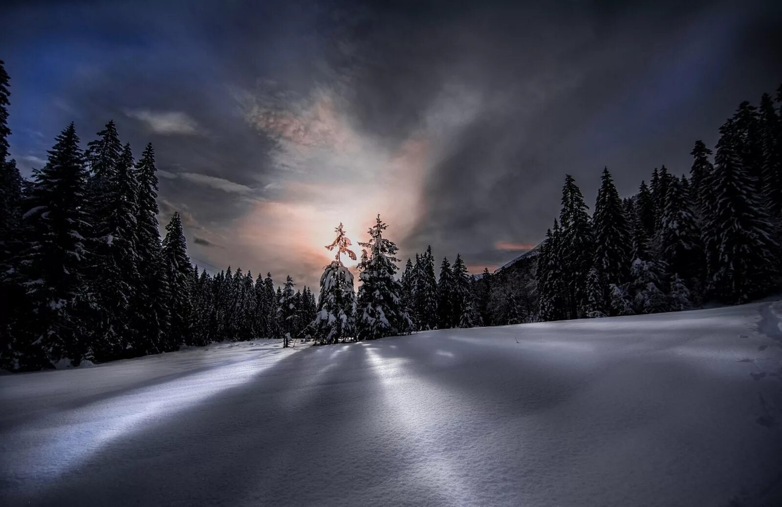 Темный холодный вечер. Зима ночь. Ночной зимний лес. Зимний лес ночью. Лес зимой ночью.