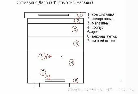 Сколько магазинов в улье