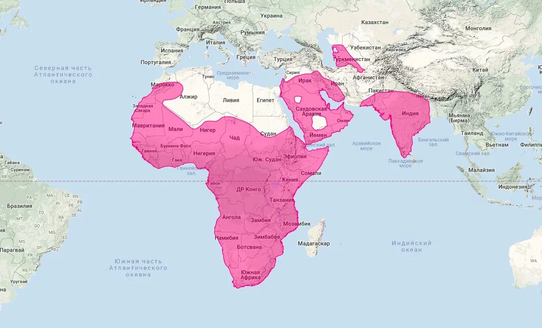 Где обитает лев на карте. Карту где лев. Ареал обитания леопардов в мире. Ареал обитания львов. Ареал обитания львов.