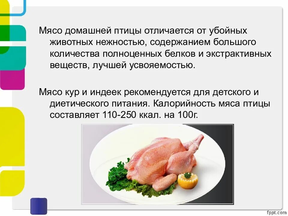 Какое мясо не имеет категории. Мясо домашней птицы. презентация на тему мясо птицы. виды мяса птицы. характеристика домашней птицы.