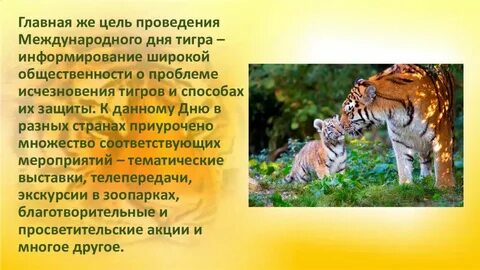 В каком крае проводится день тигра