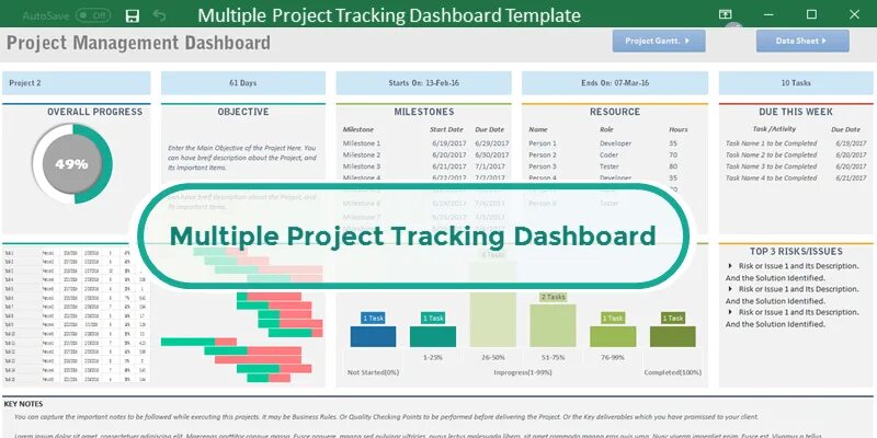 Project issue tracker excel. Celoxis управление проектами. Дашборд управление проектами. Sap excel шаблон. Проектное управление \ трекер.
