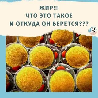 Не до жиру быть бы живу значение