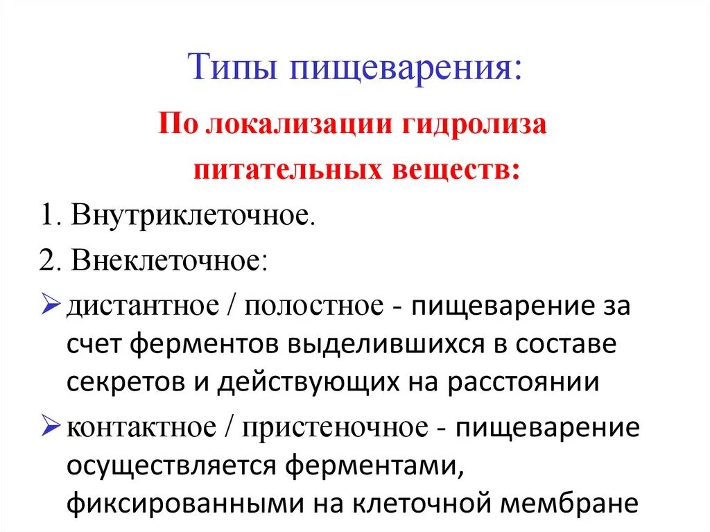 Гидролиз в пищеварении. Типы пищеварения по локализации гидролиза. Типы пищеварения в зависимости от локализации. Пищеварение типы пищеварения.